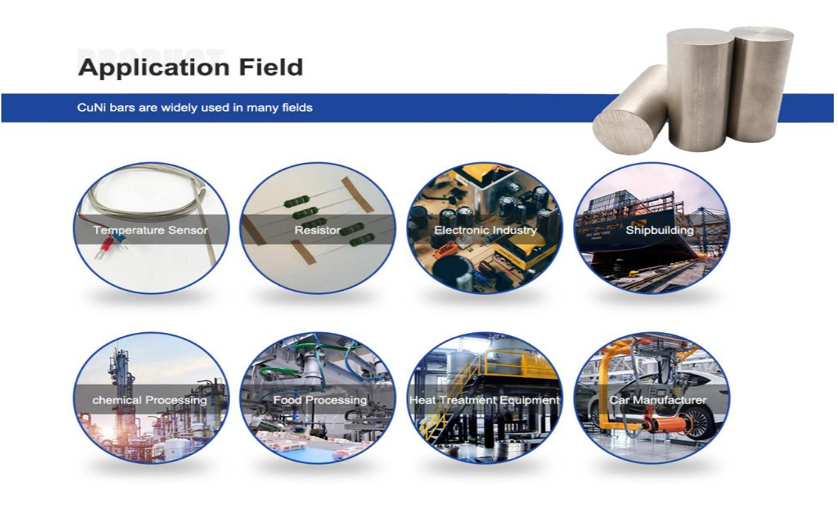 Heavy-Duty CuNi30 Bar for Chemical Processing Equipment